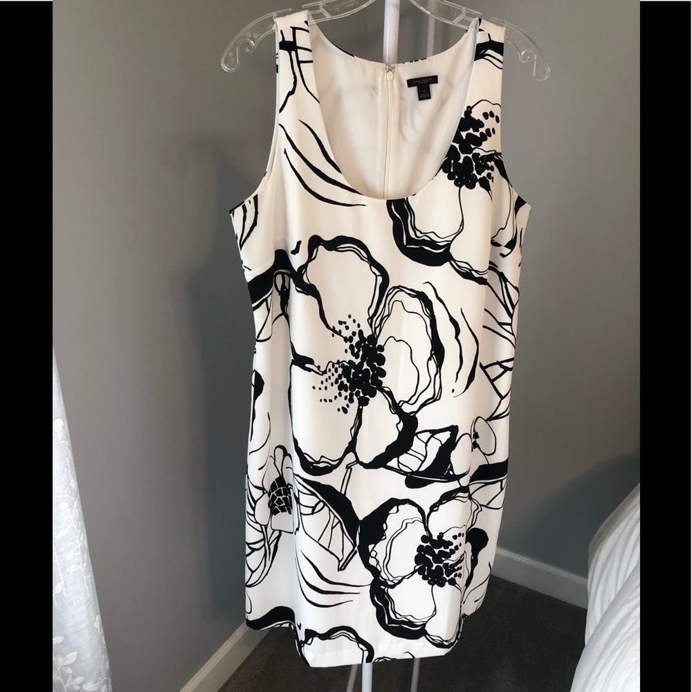 Ann Taylor Sheath Dress